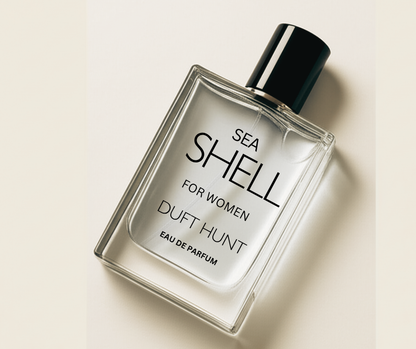 SEA SHELL
