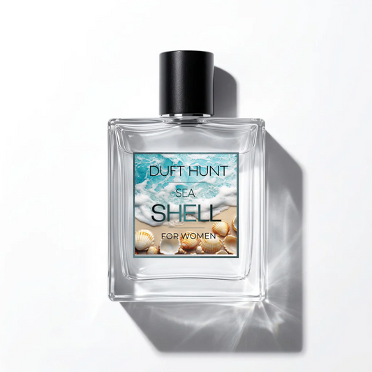 SEA SHELL